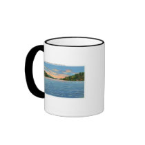 Govt. Free Camp Sites View of Lower Saranac Lake Mugs