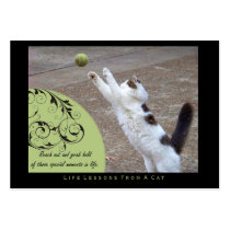 Grab Hold Life Lessons From a Cat ACEO Art Cards
