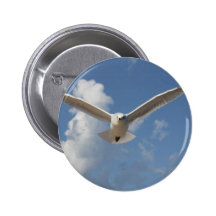 Grace  in Flight Pin