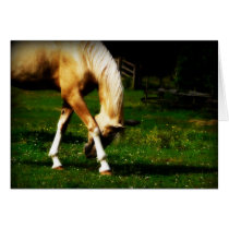 Graceful Bowing Horse