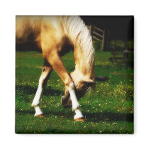 Graceful Bowing Horse