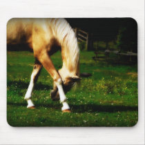 Graceful Bowing Horse