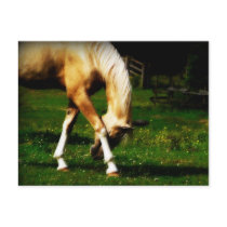Graceful Bowing Horse