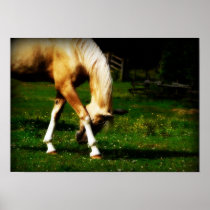 Graceful Bowing Horse