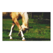 Graceful Bowing Horse