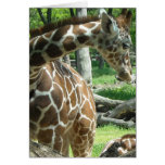 Graceful Giraffe Beauty Card