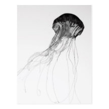 Graceful Jellyfish Post Cards