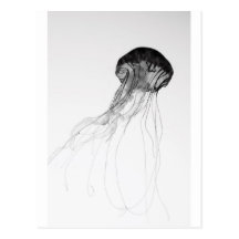 Graceful Jellyfish Postcards
