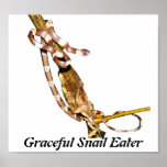 Graceful Snail Eater Print
