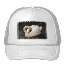 Graceful Swan  Baseball Hat