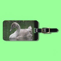 Graceful Swan on the Water Custom Luggage Tag luggage tags