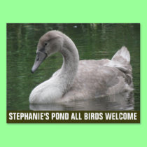 Graceful Swan on the Water Custom Pond Sign yard signs