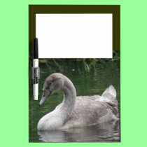 Graceful Swan on the Water Memo Board dry erase boards