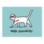 Graceful Walker Post Card