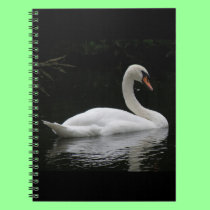Graceful White Swan Notebook notebooks