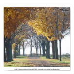 Graceland Cemetary Poster posters