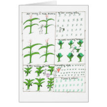 Grace's Family's Garden Greeting Card