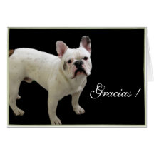 Gracias French bulldog greeting card