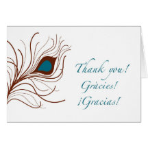 gracias thank you {peacock feather} greeting card