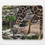 Gracious Giraffe mousepad