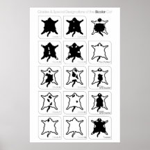 Grades and Special Designations of the Bicolor Cat Posters