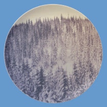 Gradient winter landscape plates