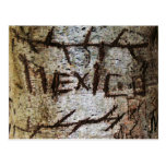 Graffiti découpé d'arbre du "Mexique" Cartes Postales