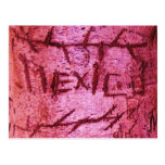 Graffiti découpé d'arbre du "Mexique" de rose Carte Postale
