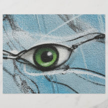 Graffiti Eye Custom Flyer