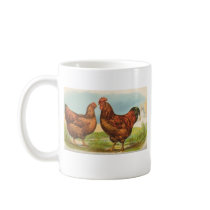 Graham - Rhode Island Red Chickens B/store Promo Mugs