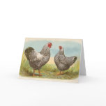 Graham - Silver Laced Wyandotte Chickens Card