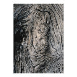 Grain of an ironwood tree, South Africa Invite