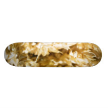 Grain Plant Seed Skate Boards