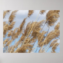 Grains Print