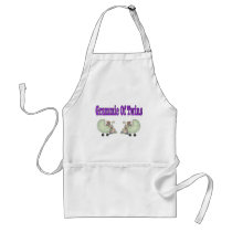 Grammie of TWINS aprons