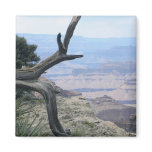 Grand Canyon branch magnet