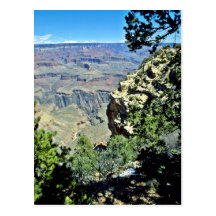 Grand Canyon Framed By Rock And Shrubs Post Cards