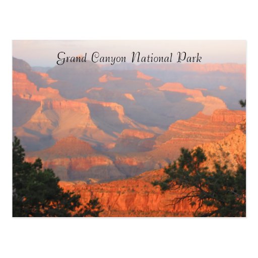 grand canyon greetings post card