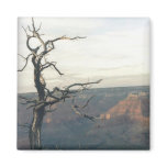 Grand Canyon Fridge Magnets
