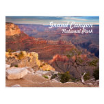 Grand Canyon National Park Postcard