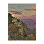 Grand Canyon Postcard