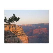 Grand Canyon Post Cards