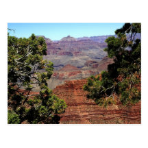 Grand Canyon Postcard