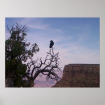 grand canyon poster