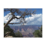Grand Canyon The Painted Desert Arizona PostCard