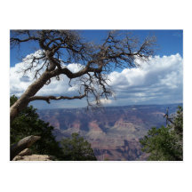 Grand Canyon The Painted Desert Arizona PostCard