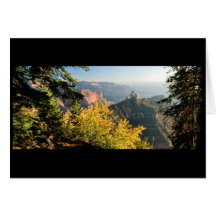 Grand Canyon with a golden birch Card