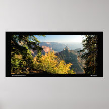 Grand Canyon with a golden birch Posters