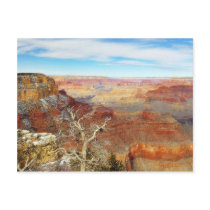 Grand Canyons Arizona Postcard