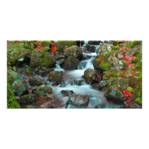 Grand Cascades Tendons Waterfall Custom Photo Card